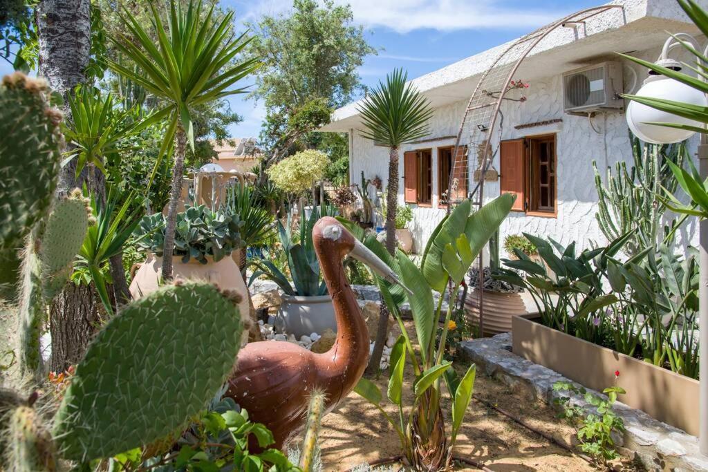 Renas Secret Garden House Vila Chania  Exterior foto